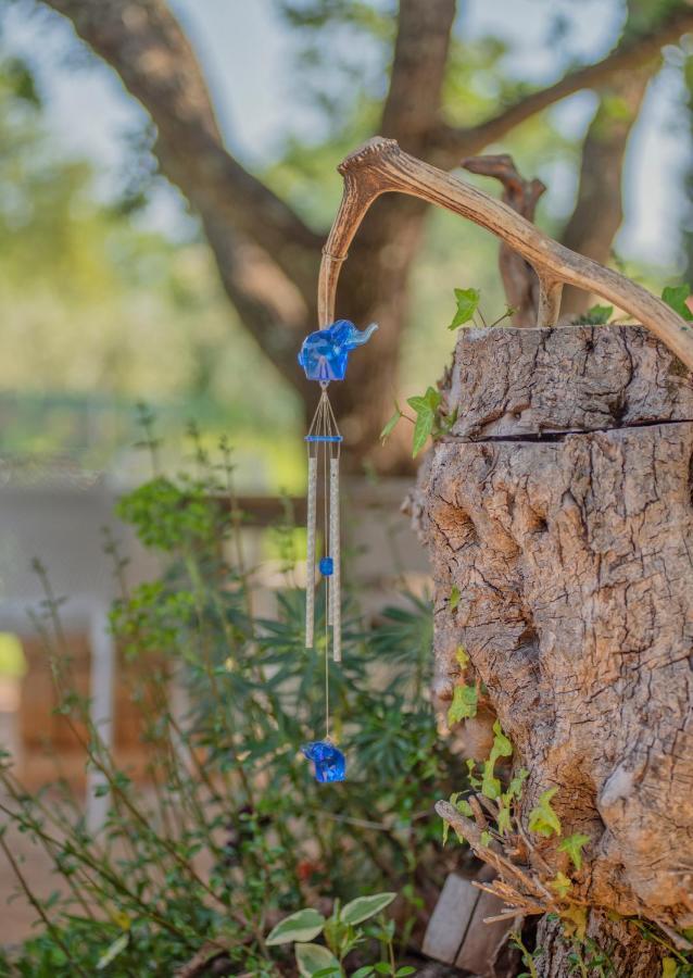 Sveti Ivan  Studio App Luka-We Love Nature. מראה חיצוני תמונה